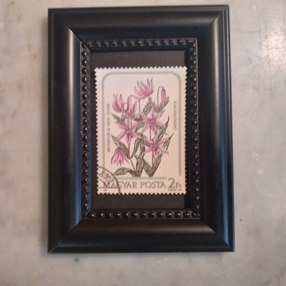 Framed Stamp Art - Dog's Tooth Violet